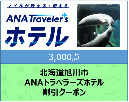 北海道旭川市ＡＮＡトラベラーズホテル割引クーポン（3,000点）