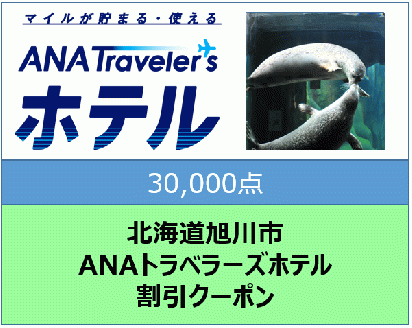 北海道旭川市ＡＮＡトラベラーズホテル割引クーポン（30,000点）