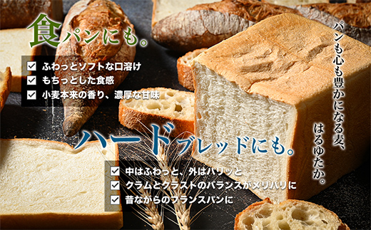 【毎月定期便】北海道産 はるゆたかブレンド小麦粉 シルバーライズ（パン用強力粉）5kg 全4回 MROBI028