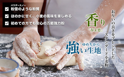【毎月定期便】北海道産 「春よ恋」「ゆめちから」ブレンド小麦粉 パウダースノー（パン用強力粉）10kg 全4回 MROBI048