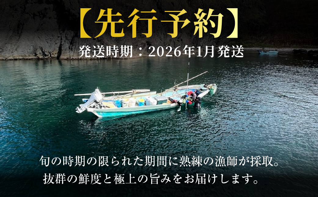 北海道室蘭産 天然活蝦夷あわび 5個入（2026年1月中旬頃お届け） MROH006