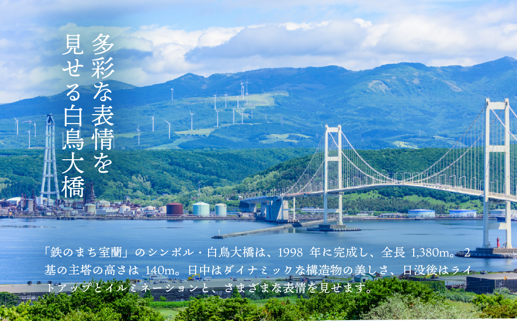白鳥大橋主塔登頂クルーズ 標準コースチケット 大人2名様 MROX008