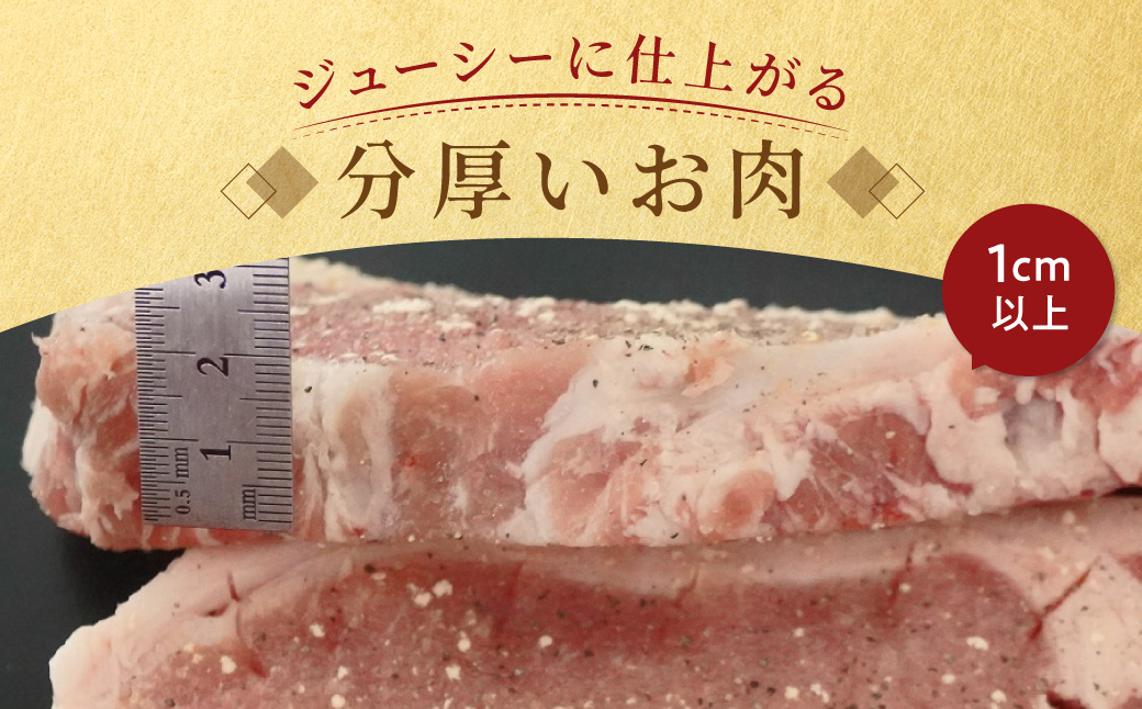 カネカン竹内 ポークチャップ（懐かしの特製デミソース付）200g×15枚 MROA126