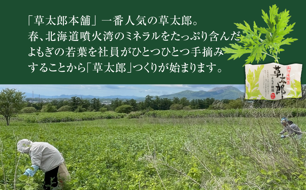 草太郎（まんじゅう）10個入 MROAF002