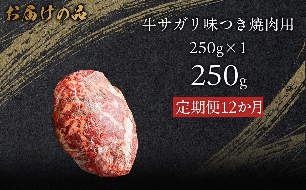【12か月定期便】牛サガリ味つき焼肉用 250g (250g×1) MROBM023