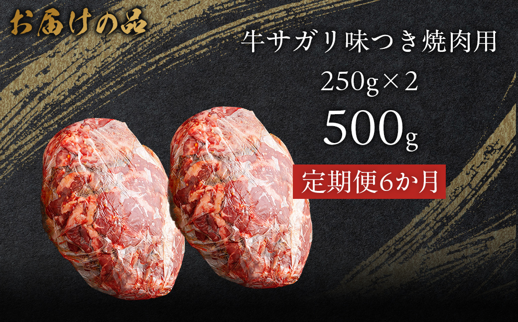【6か月定期便】牛サガリ味つき焼肉用 500g (250g×2) MROBM026