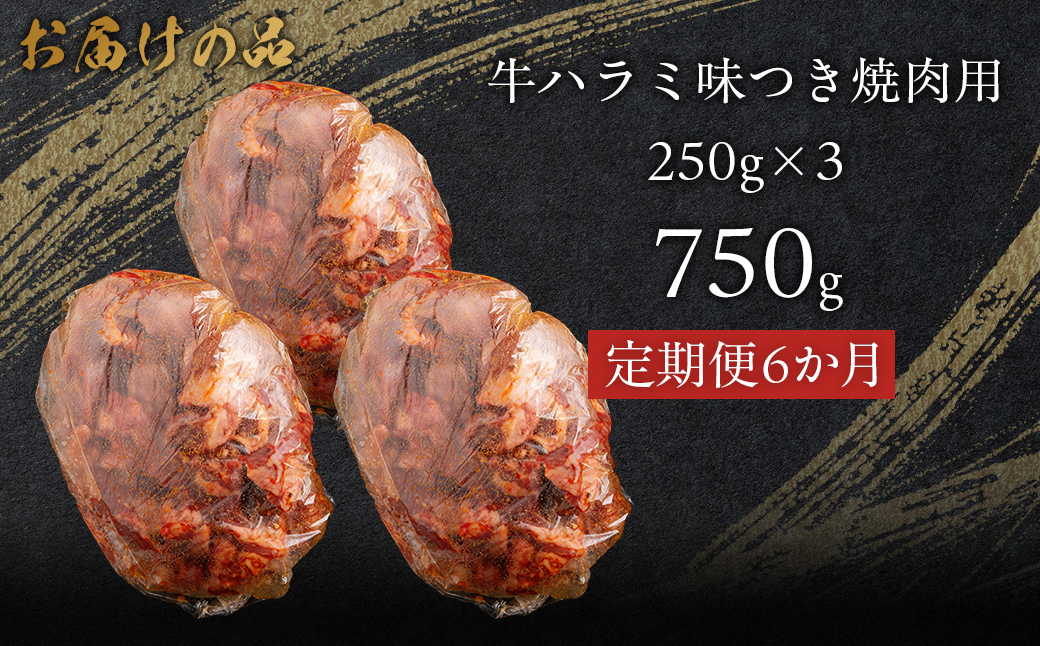 【6か月定期便】牛ハラミ味つき焼肉用 750g (250g×3) MROBM045