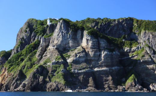 室蘭地球岬遊覧クルーズチケット 大人1名様 MROX005