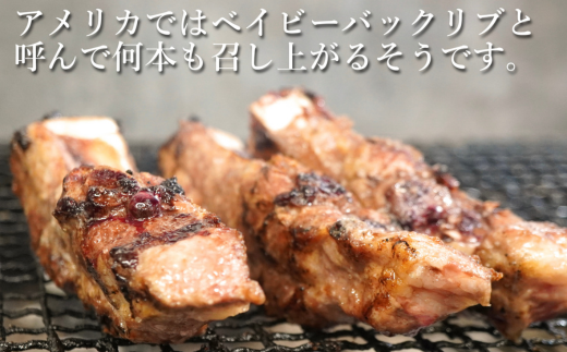 カネカン竹内 ポークバックリブ≪下味付き≫約1kg（アメリカ・カナダ産） MROA071