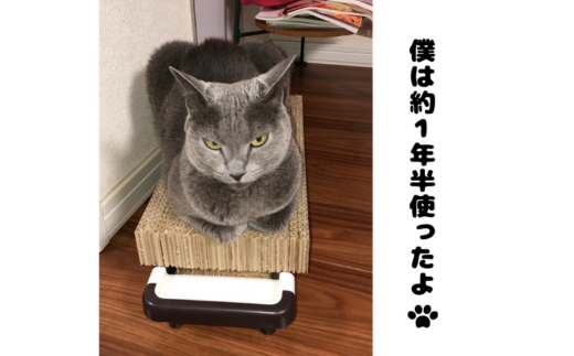 【長持ちする猫の爪とぎ】ズットモーツ 1個 MROJ001