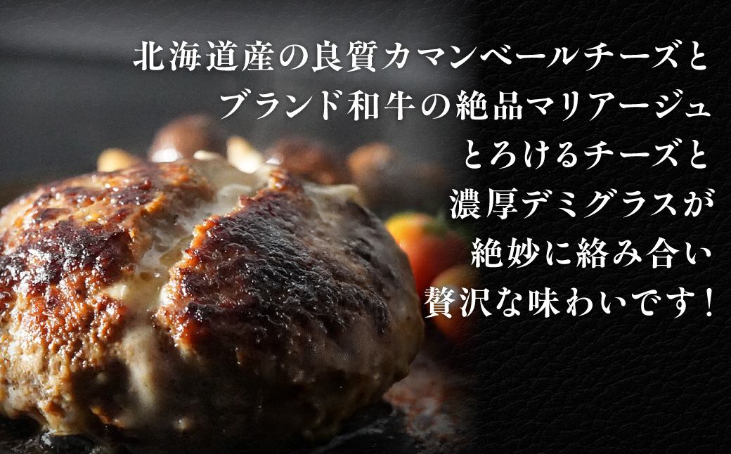 【12ヶ月定期便】道産和牛カマンベールチーズハンバーグ（200g）5個入り MROA177