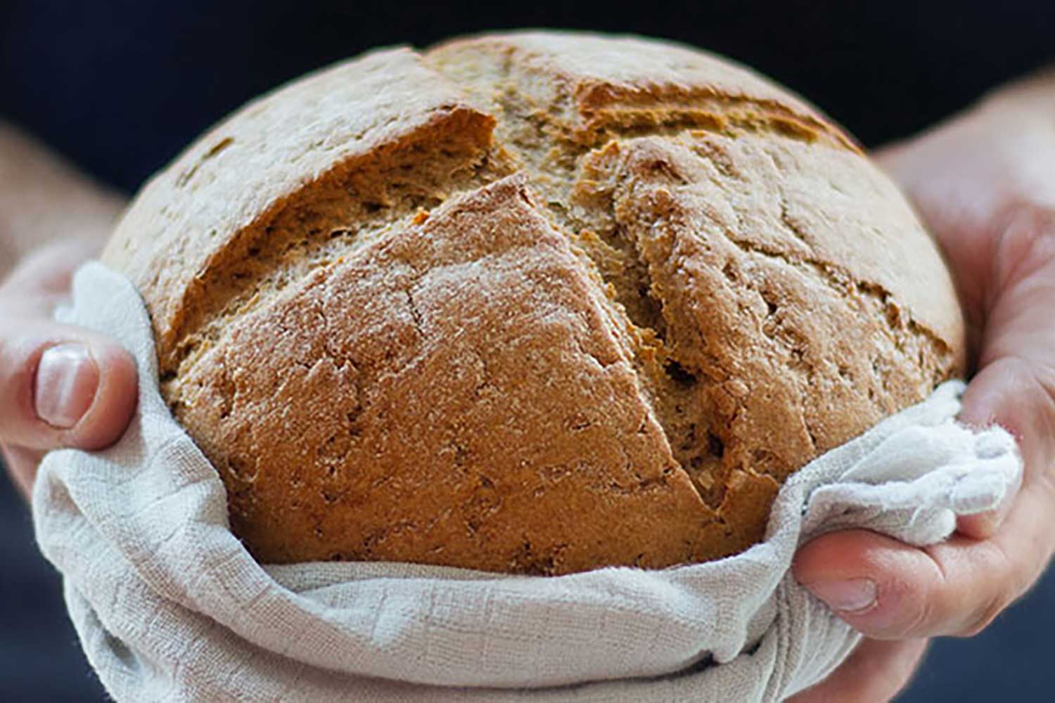 北海道産 スペルト小麦全粒粉 ディンケルスター 5kg MROBI002