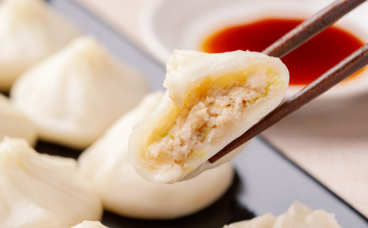 どさんこもち・プリ丸餃子40個（10個入り×4袋） MROV015