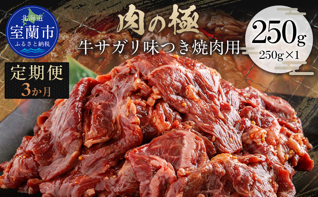 【3か月定期便】牛サガリ味つき焼肉用 250g (250g×1) MROBM021