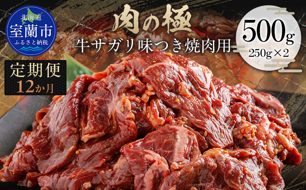 【12か月定期便】牛サガリ味つき焼肉用 500g (250g×2) MROBM027