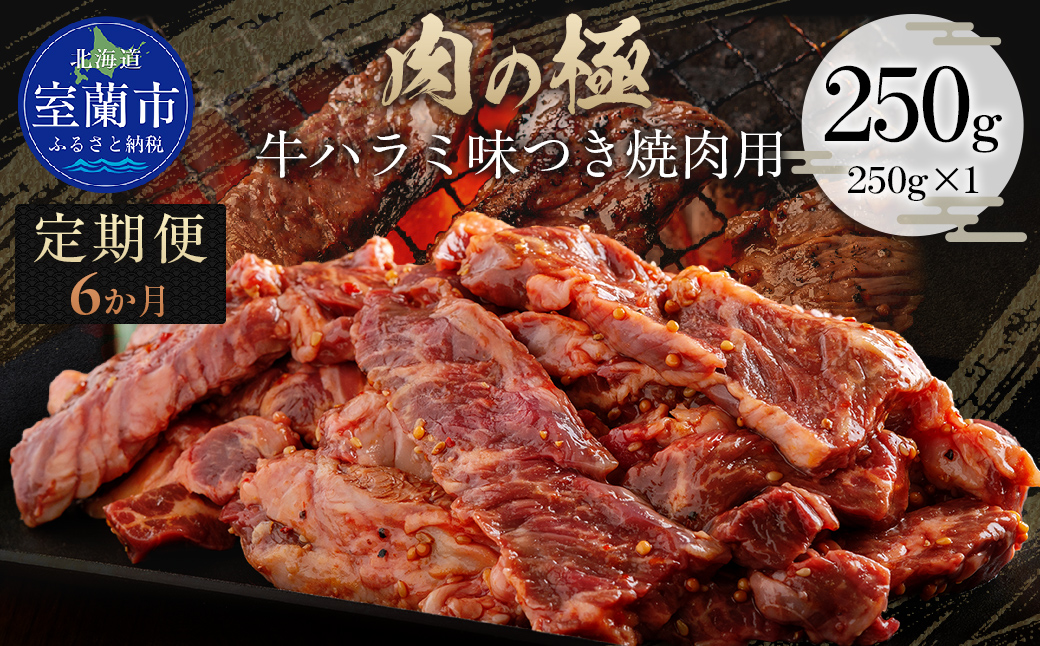 【6か月定期便】牛ハラミ味つき焼肉用 250g (250g×1) MROBM037