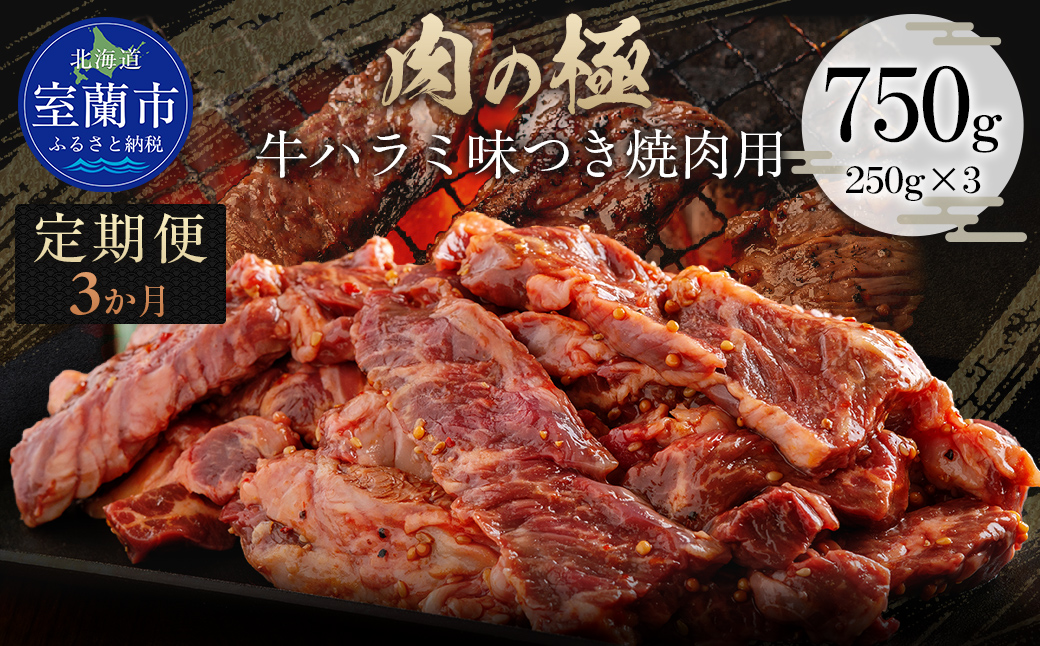 【3か月定期便】牛ハラミ味つき焼肉用 750g (250g×3) MROBM044