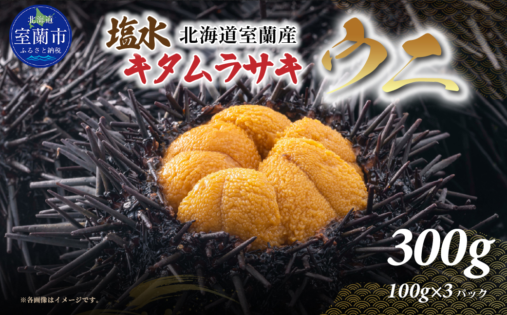 北海道室蘭産 塩水キタムラサキウニ （100g×3パック）【翌年（2026）/7～9月中順次発送】 MROBQ003