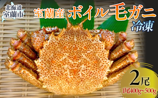 室蘭産ボイル毛ガニ2杯セット（1杯あたり400g～500g） 【 ふるさと納税 人気 おすすめ ランキング カニ 蟹 かに 毛ガニ 毛がに 毛蟹 かに味噌 ボイル セット 海鮮 室蘭産 お祝い ギフト 贈答 新鮮 北海道 室蘭市 送料無料  】 MROH001