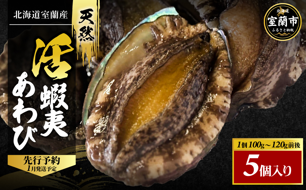 北海道室蘭産 天然活蝦夷あわび 5個入（2026年1月中旬頃お届け） MROH006