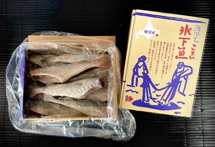 【期間限定！寄附額改定↓！】【北海道産】 生干し こまい 1kg×2箱 ふるさと納税 魚 F4F-0306