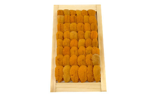 【北海道産・極上・列盛】えぞバフンうに贅沢食べ比べセット（折2枚・塩水1枚） 北海道 釧路 ふるさと納税 うに 雲丹 魚介類 海産物 高級 贈答用 豪華 _F4F-0638