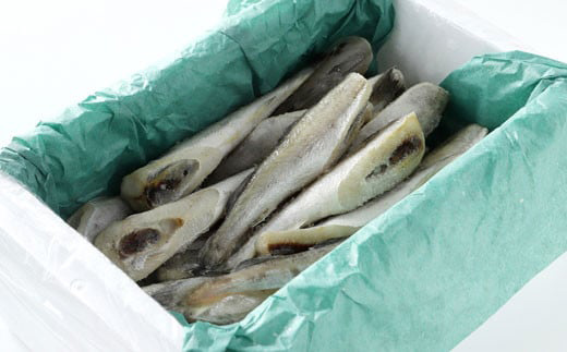 【期間限定！寄附額改定↓！】一夜干し氷下魚（こまい）寒風干し1.0kg入 ふるさと納税 魚 _F5F-0072