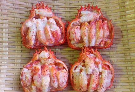 花咲甲羅盛りセット65g×4 ふるさと納税 かに 蟹 F4F-0685