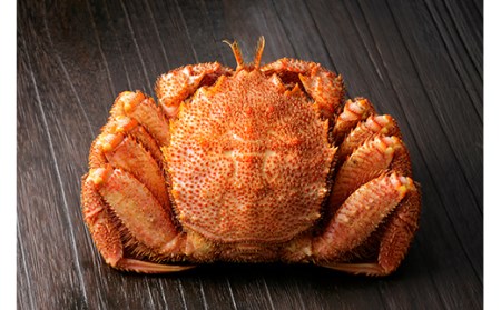 【期間限定！寄附額改定↓！】超特大級毛がに1.0kg～1.2kg×1尾 ふるさと納税 蟹 F4F-0690