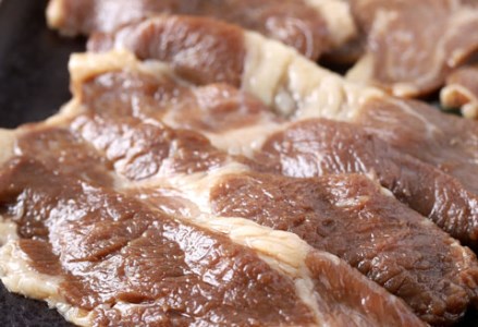 釧路産・馬肉味付ジンギスカン500g×2 ふるさと納税 馬肉 F4F-0747