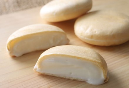 この町愛すの家モ～ちゃん もなかアイス（15個入） ふるさと納税 アイス F4F-0793