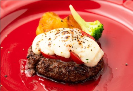 釧路生まれ、釧路育ちのオーガニックビーフ 生ハンバーグ120g×4枚 ふるさと納税 肉 F4F-3373