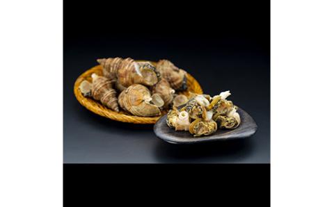 【期間限定！寄附額改定↓！】北海道産・殻付き ボイル 灯台つぶ 1.0kg (冷凍) 浜ゆで つぶ貝 ツブ貝 _F4F-1561