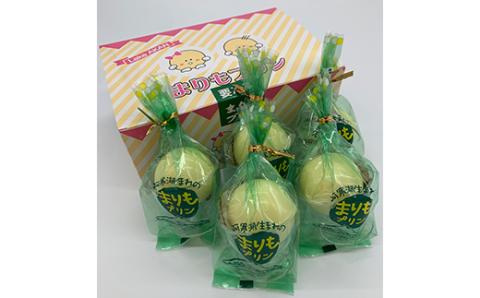 【期間限定！寄附額改定↓！】阿寒湖銘菓まりもプリン5個入と養殖まりもセット（ブルー） 北海道 釧路 ふるさと納税 養殖まりも 飼育 プリン カスタード スイーツ 菓子 _F4F-1863