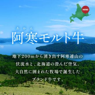 【12月22日までの入金で年内発送】【これぞ北海道産 極上赤身肉】阿寒モルト牛サーロインステーキA 約200g×3枚 ふるさと納税 肉 _F4F-2223