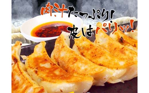 餃子65個 13個×5 中華料理専門店 手作り 肉汁 ぎょうざ 惣菜 セット 中華 おかず ギョーザ ギョウザ 豚肉 パリパリ もちもち コラーゲン _F4F-2420