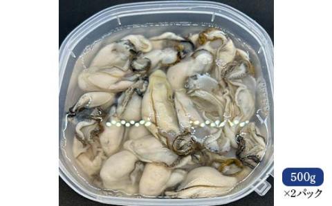 剥きたて発送！牡蠣の剥き身 合計1.0kg 500g×2パック _F4F-2991