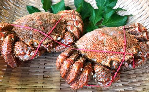 北海道産毛蟹800g前後×4尾 北海道 カニ 毛ガニ 毛蟹 かに かに味噌 急速冷凍 活蟹 活毛蟹 活毛ガニ _F4F-8659