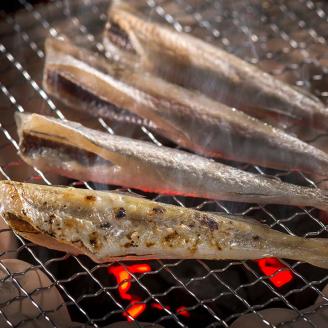 【期間限定！寄附額改定↓！】一夜干しこまい 2.8kg (700g×4箱) 釧路高木商店 氷下魚 コマイ 干物 おつまみ 居酒屋 肴 魚介 魚 _F4F-4647