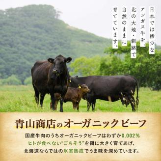 生ハンバーグ120g×12枚 釧路生まれ、釧路育ちのオーガニックビーフ 牛肉 ハンバーグ 国産 牛 肉 お肉 個包装 牛肉 おかず お弁当 北海道 _F4F-3500