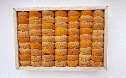 高級・特選縦列盛えぞバフンうに250g ふるさと納税 うに 高級 ウニ 雲丹 エゾバフンウニ 大容量 贈答用 ギフト 北海道 釧路 _F4F-3516