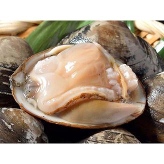 【2025年11月より順次発送】[船上]剥きほっき（刺身用）500g（10玉前後）×1袋 ふるさと納税 貝 _F4F-3923