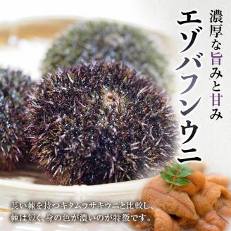【期間限定！寄附額改定↓！】【鮮度抜群！極上生えぞバフンうに】生うに折250g ふるさと納税 うに _F4F-3210