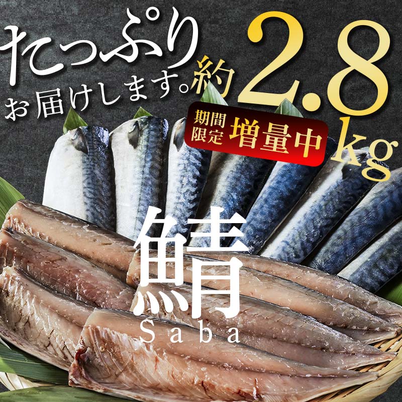北海道産 無添加 塩さばフィレ約2.8kg＜釧之助 ご飯に合うおかずの定番＞ 北海道 笹谷商店 釧之助 無添加 天然 _F4F-8871