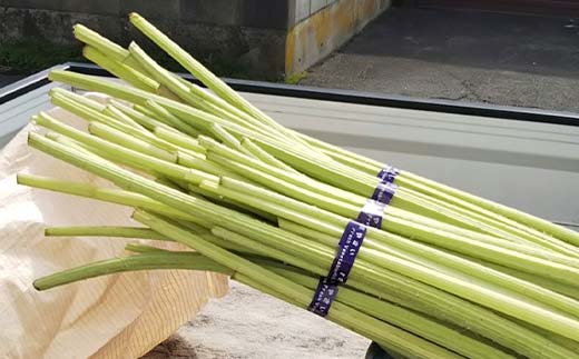 【6月中に順次発送】音蕗(おんぶき) 1kg 音別の蕗と道東産の昆布だけで作った佃煮「ふきっこ」 おかず 無農薬 ご飯のお供 セット 小分け つくだ煮 佃煮 フキ ふき 音別産生蕗 北海道産 北海道 _F4F-4564