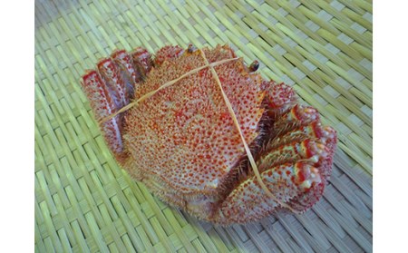 えぞバフンうに折60g×1 ボイル毛がに380～400g×1 ふるさと納税 うに かに F4F-5330