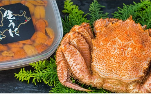 【蟹とウニの豪華競演！】ボイル毛ガニ400g×1尾&塩水うに100g ふるさと納税 うに かに F4F-5335