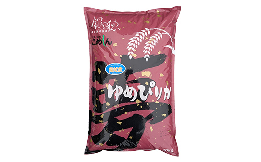 【期間限定！寄附額改定↓！】【令和7年度産】 蘭越町産ゆめぴりか 10kg 白米 北海道産 米 コメ こめ お米 通常発送 F5F-0154