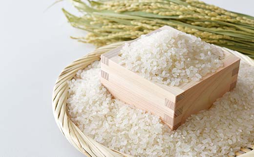 【期間限定！寄附額改定↓！】新米 北海道産おぼろづき米2kg＆明太子（500g） ふるさと納税 米 おぼろづき たらこ 明太子 _F4F-7765