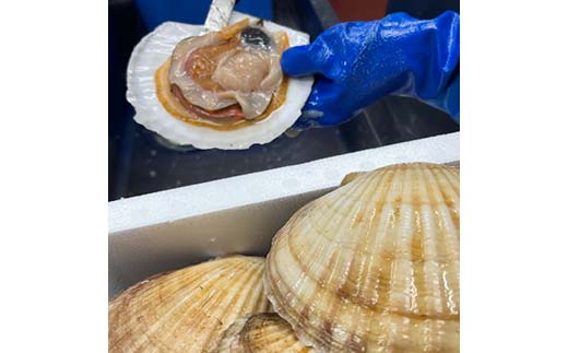 【冷蔵便でお届け！】ホタテの貝柱 オーダー剥き 約200g 魚介類 海鮮 ホタテ 帆立 _F4F-8098